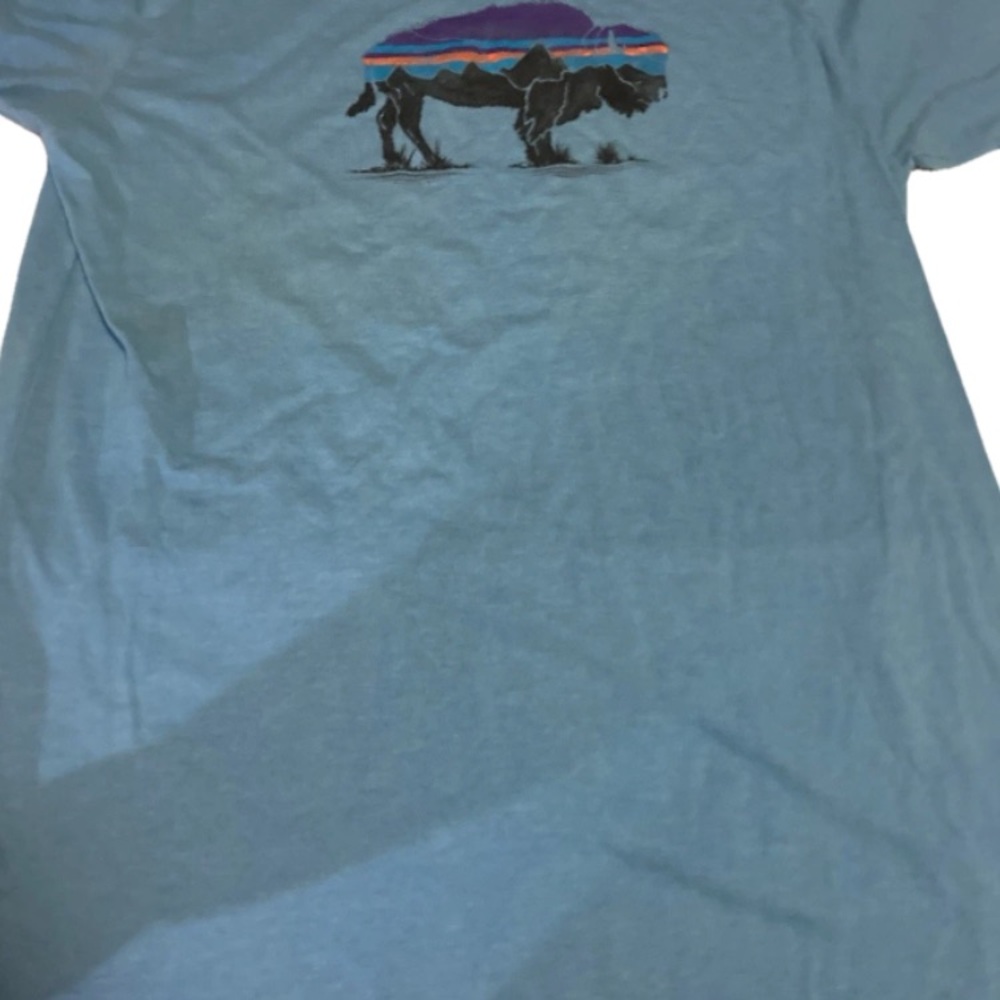 Patagonia Light Blue Graphic Tee